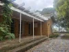 11 Bodley Street, Beaumaris, Vic 3193-Image