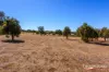 11 Boodja Road, Wundowie, WA 6560-Image
