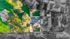 11 Briar Hurst Avenue, Dandenong North, Vic 3175-Image