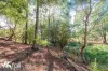 11 Brook Way, Kingston, Tas 7050-Image