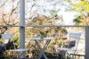 11 Broughton Street, Drummoyne, NSW 2047-Image
