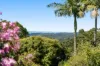 11 Buena Vista Crescent, Blue Mountain Heights, Qld 4350-Image
