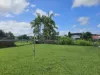 11 Burke Street, Ingham, Qld 4850-Image
