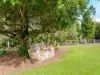 11 Camille Court, Spring Grove, NSW 2470-Image