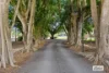 11 Campbells Road, Dungay, NSW 2484-Image