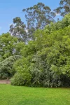 11 Card Crescent, East Maitland, NSW 2323-Image