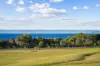 11 Carins Close, Tomahawk, Tas 7262-Image