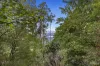 11 Caroline Crescent, Kalorama, Vic 3766-Image