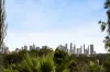 11 Castella Street, Ivanhoe East, Vic 3079-Image