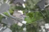11 Celeste Court, Chirnside Park, Vic 3116-Image