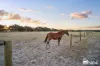 11 Chatfield Road, Serpentine, WA 6125-Image