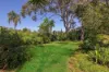 11 Chick Street, Roselands, NSW 2196-Image