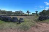 11 Clay Pit Road, Bumbaldry, NSW 2794-Image