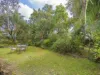 11 Consort Street, Corinda, Qld 4075-Image
