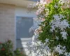 11 Copper Cres, Caloundra West, Qld 4551-Image