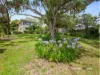 11 Craigrossie Road, Mornington, Vic 3931