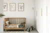 11 Crathie Court, Frankston, Vic 3199-Image
