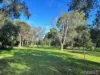 11 Cummins Road, Brighton East, Vic 3187-Image