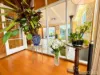 11 Cummins Road, Brighton East, Vic 3187-Image
