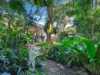 11 Dalgety Street, Stratford, Qld 4870-Image