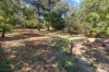 11 Darriwell Drive, Mount Helen, Vic 3350-Image