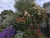 11 Deane Street, Mount Barker, WA 6324-Image