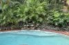 11 Desiree Close, Buderim, Qld 4556-Image