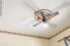 11 Edward Street, Ottoway, SA 5013-Image