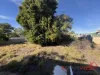 11 Elder Street, Mullewa, WA 6630-Image