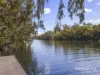 11 Ellesons Place, Douglas, Qld 4814-Image