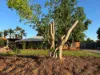 11 Elliott Crescent, Dampier, WA 6713