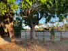 11 Elliott Crescent, Dampier, WA 6713-Image