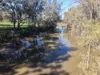 11 Ellison Bridge Lane, Forbes, NSW 2871-Image