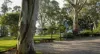11 Estramina Way, Tanilba Bay, NSW 2319-Image