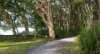 11 Estramina Way, Tanilba Bay, NSW 2319-Image