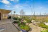 11 Grapevine Lane, McLaren Vale, SA 5171-Image