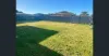 11 Graywillow Boulevard, Oxenford, Qld 4210-Image