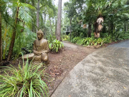 11 Gumleaf Close, Doonan, Qld 4562