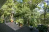 11 Gumleaf Close, Doonan, Qld 4562-Image