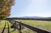 11 Harbourmaster Road, Coldstream, Vic 3770-Image