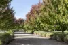 11 Harbourmaster Road, Coldstream, Vic 3770-Image