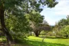 11 Harker Street, Maldon, Vic 3463-Image