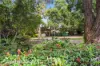 11 Harold Street, Newtown, NSW 2042-Image