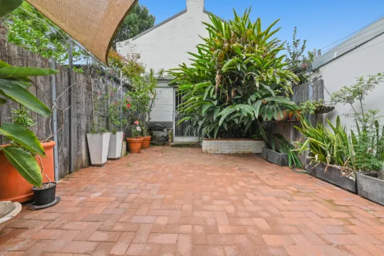 11 Harold Street, Newtown, NSW 2042-Image