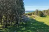 11 Harrington Crescent, Bawley Point, NSW 2539-Image