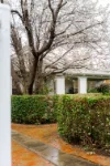 11 Henderson Place, Mildura, Vic 3500-Image