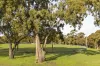 11 Hetrel Court, Blackburn South, Vic 3130-Image