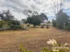 11 High Street, Wallumbilla, Qld 4428-Image