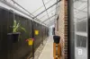 11 Hollioake Drive, Lucas, Vic 3350-Image