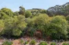 11 Hollitt Road, Clarendon, SA 5157-Image